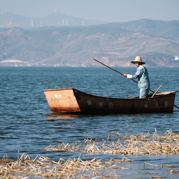 DM_20251201012940_001